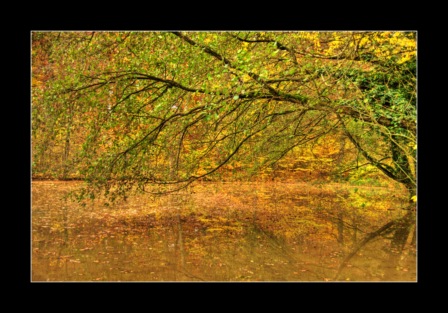 Herbst am See