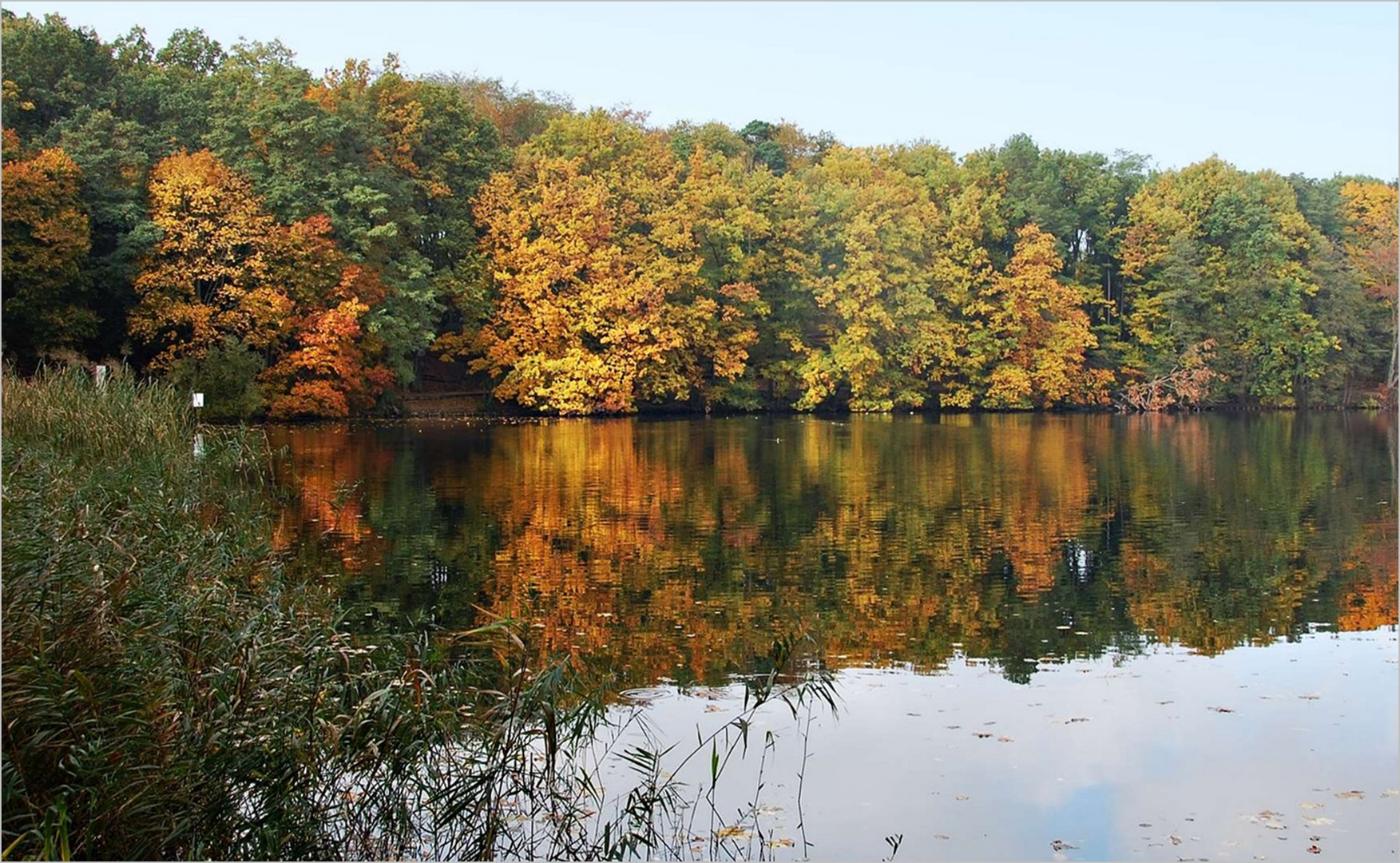 Herbst am See