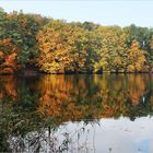 Herbst am See