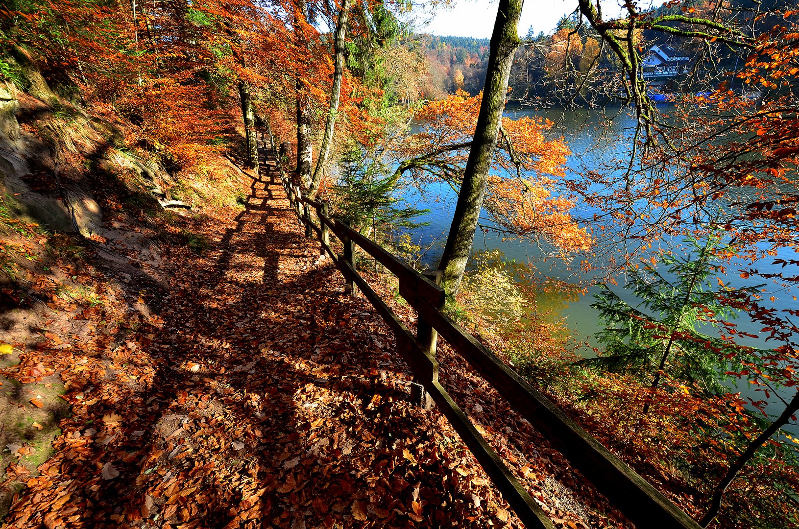 Herbst am See