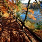 Herbst am See