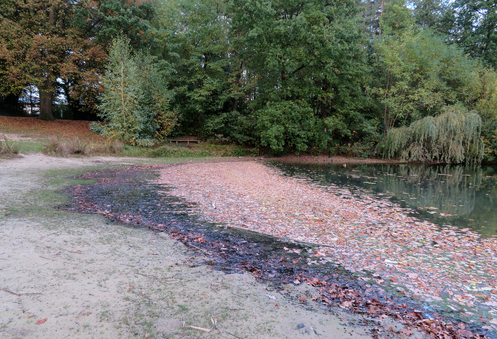 Herbst am See ...