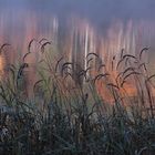 Herbst am See