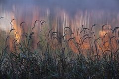 Herbst am See