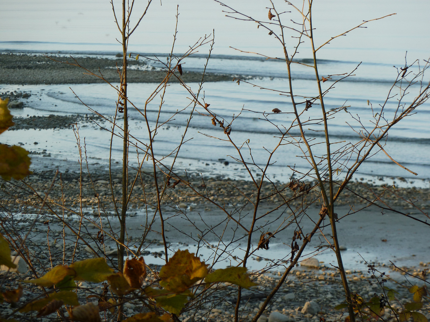 Herbst am See