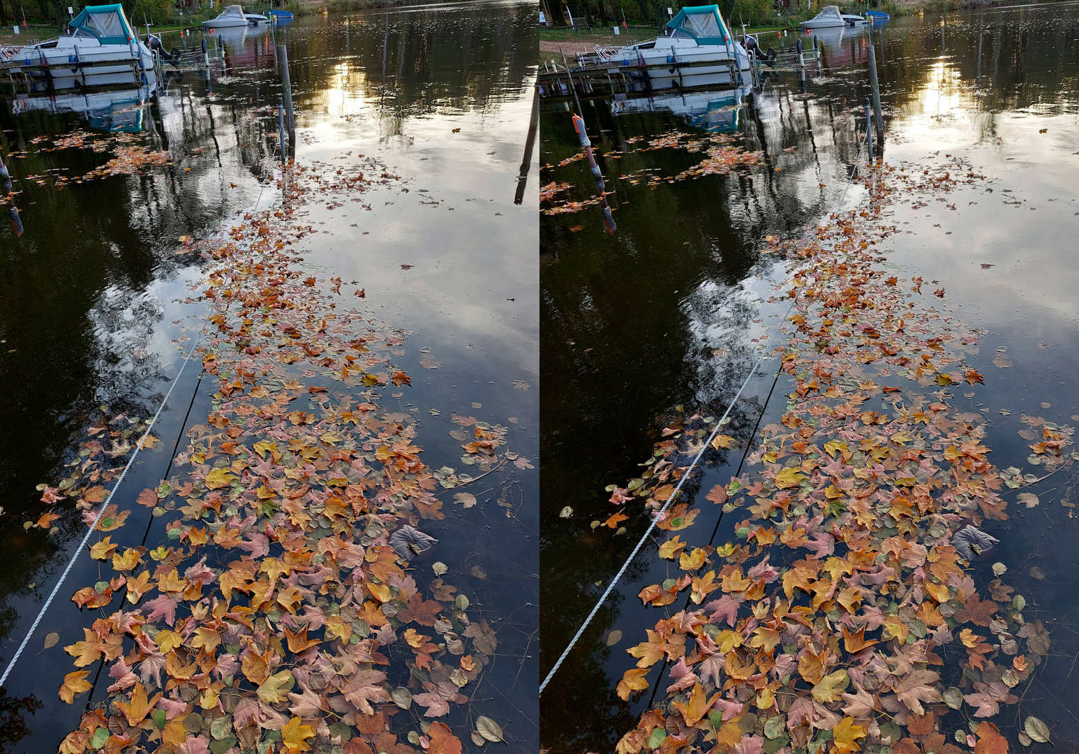 Herbst am See (3D Parallelblick stereo)