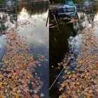 Herbst am See (3D Parallelblick stereo)