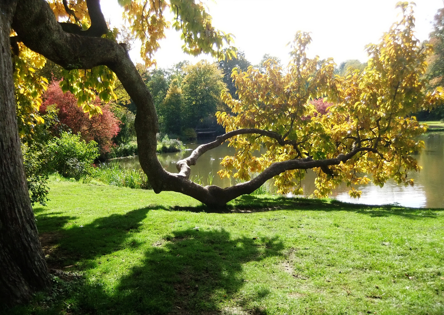 Herbst am See