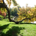 Herbst am See