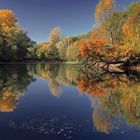 Herbst am See (4)