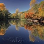 Herbst am See (4)