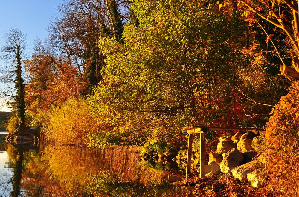 Herbst am See