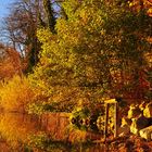 Herbst am See