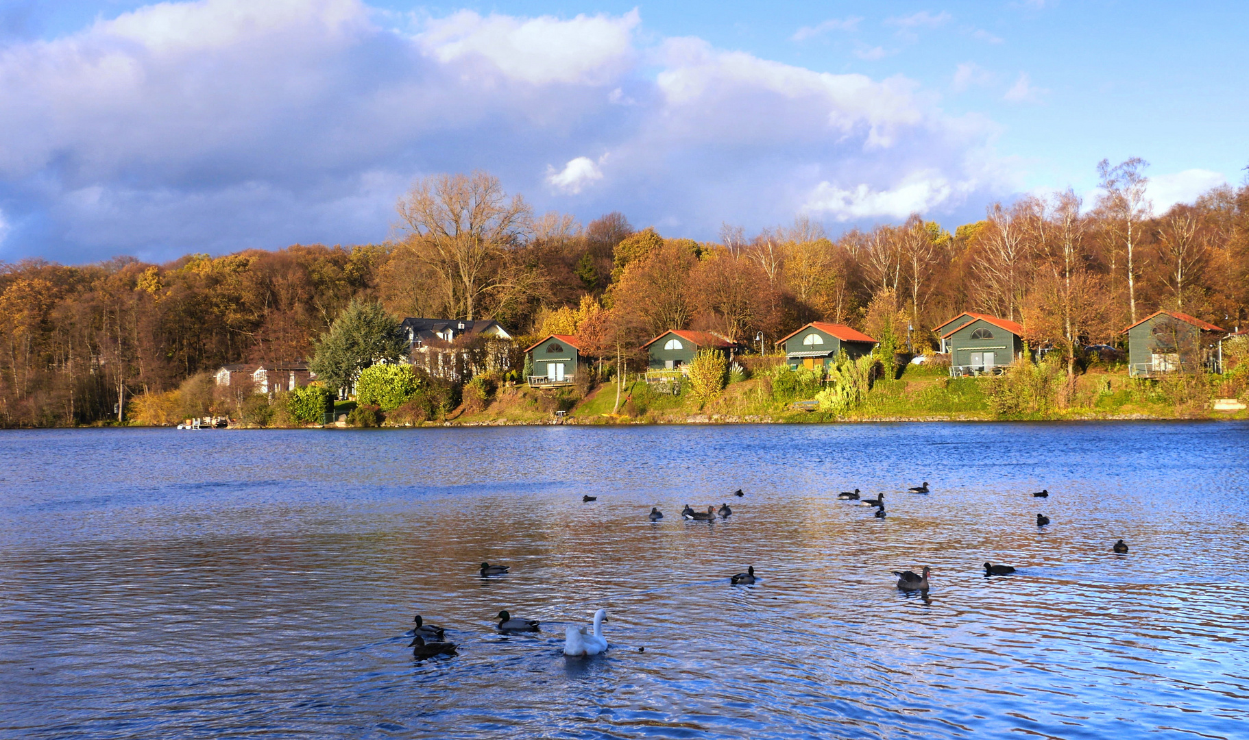 Herbst am See