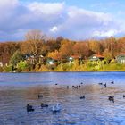 Herbst am See