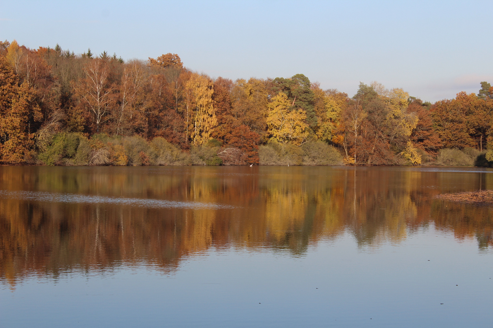 Herbst am See