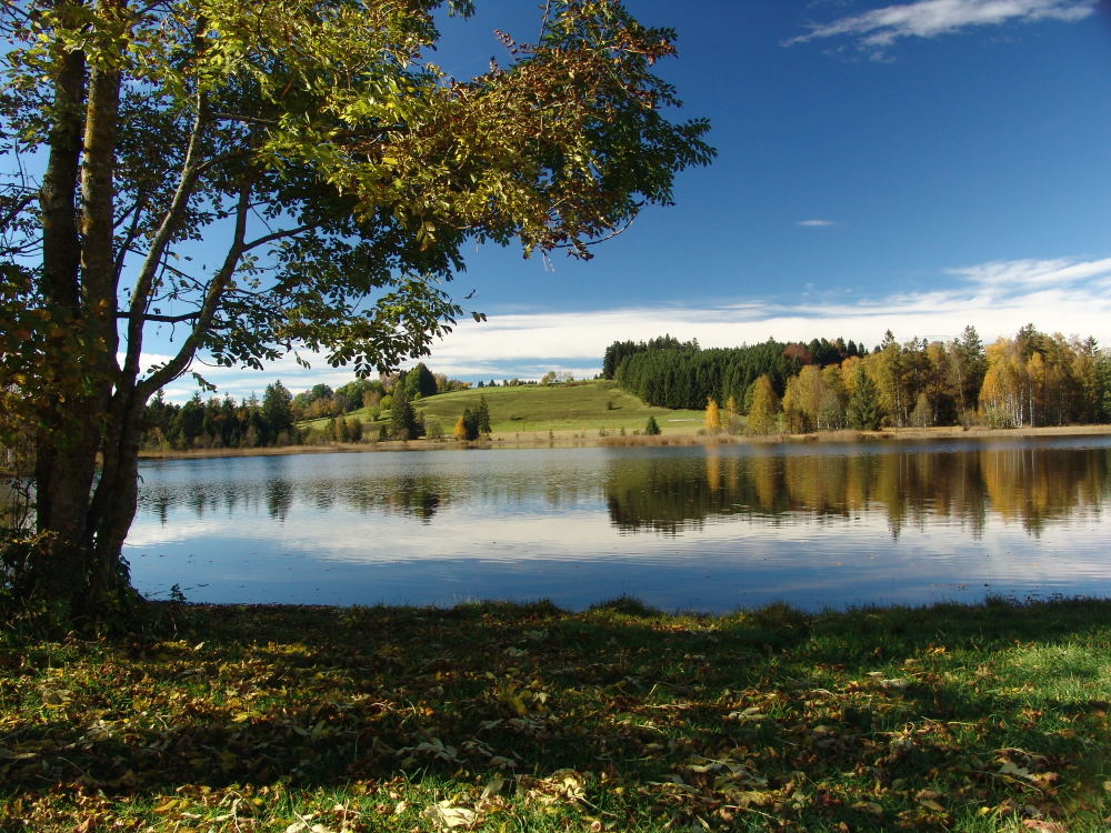 Herbst am See