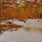 Herbst am See