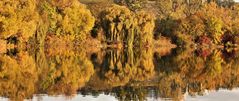 HERBST AM SEE