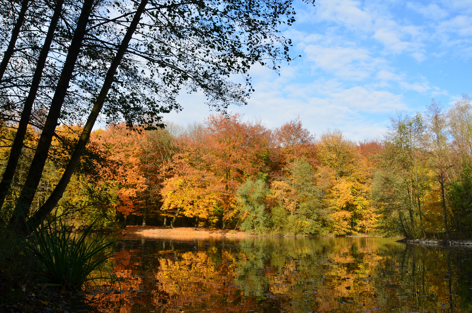 Herbst am See