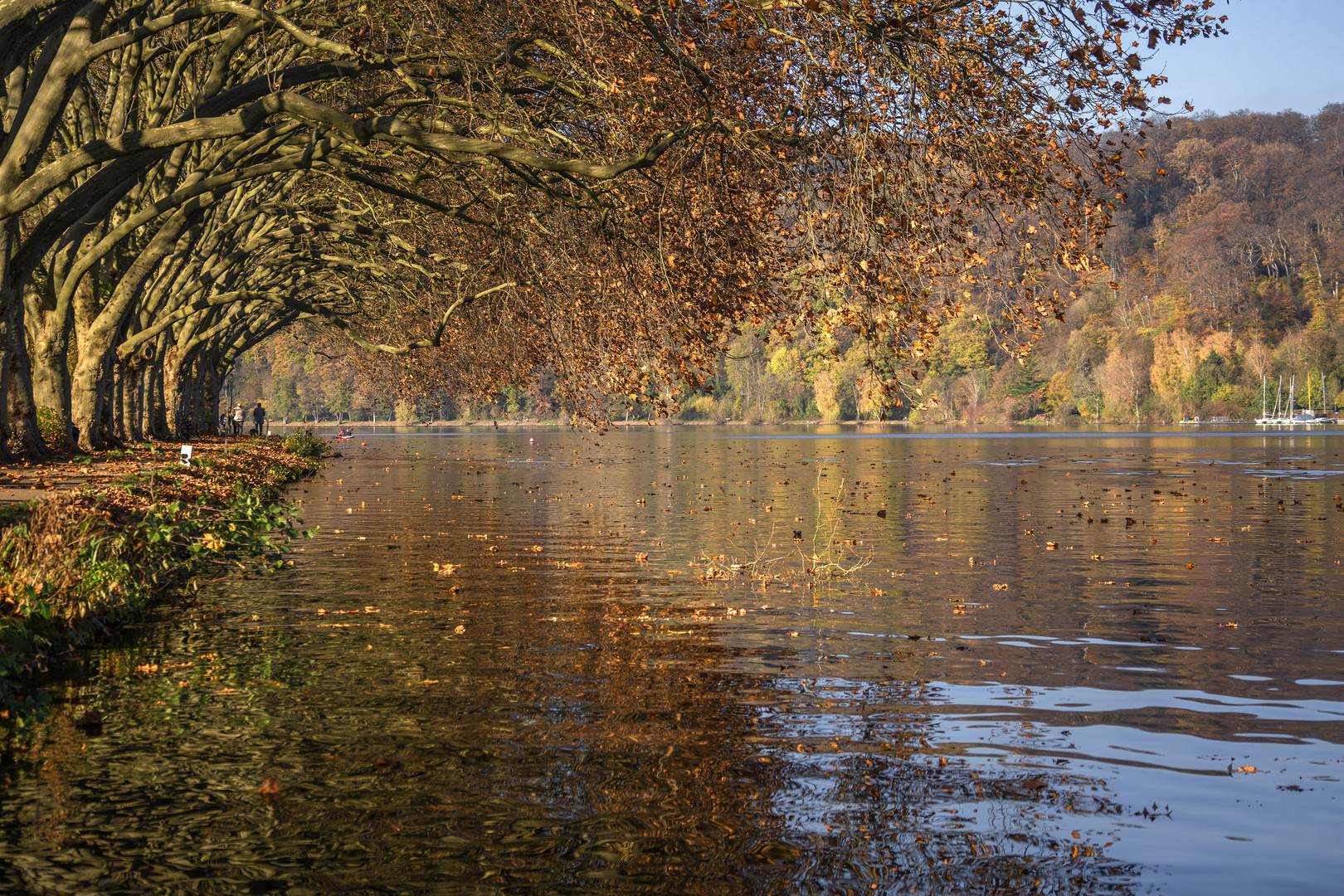 Herbst am See