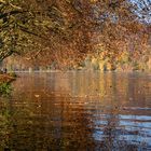 Herbst am See