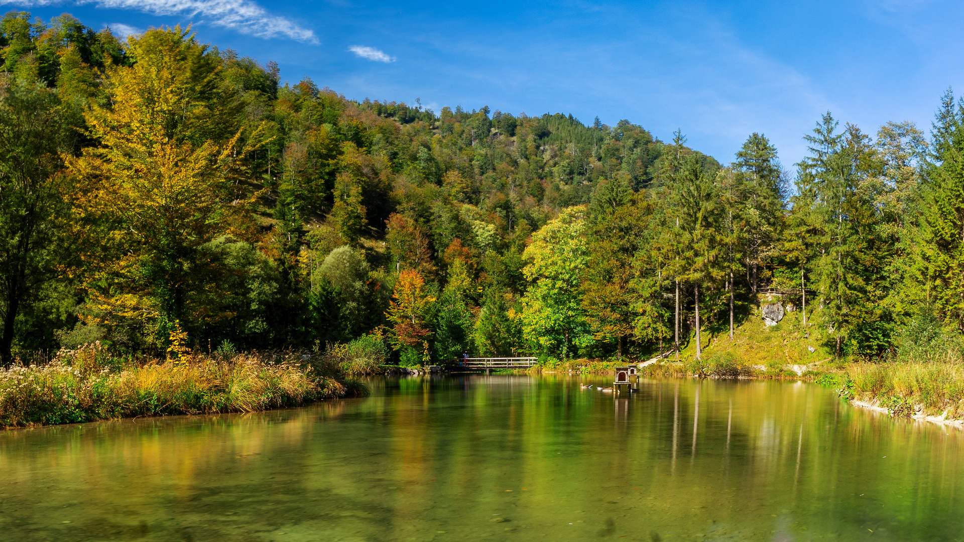 Herbst am See