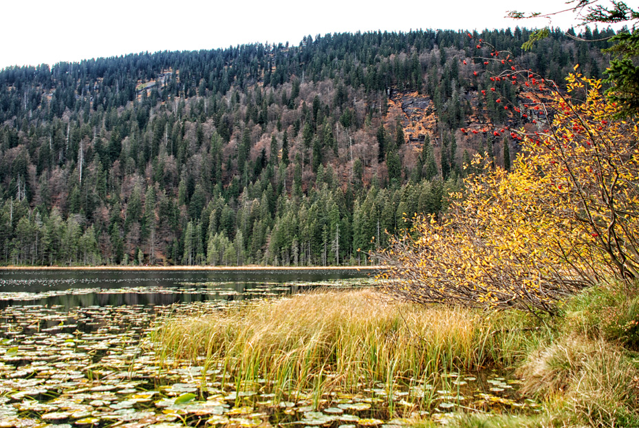 Herbst am See