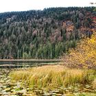 Herbst am See