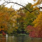 Herbst am See