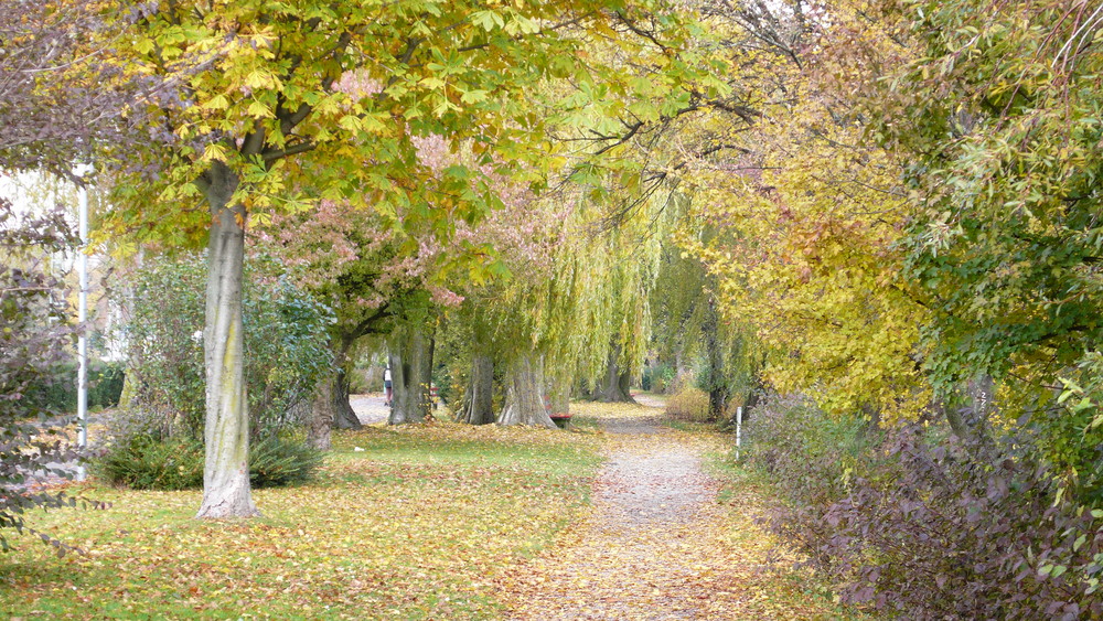 Herbst am See