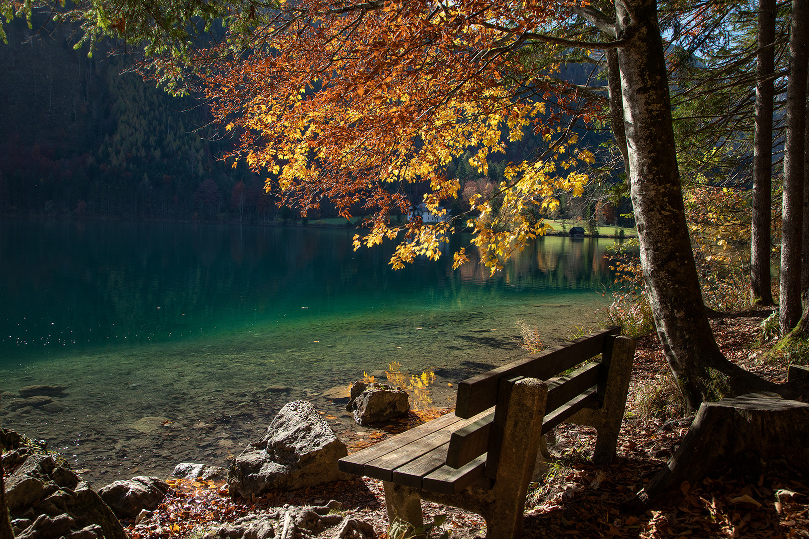 Herbst am See