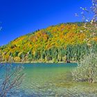 Herbst am See