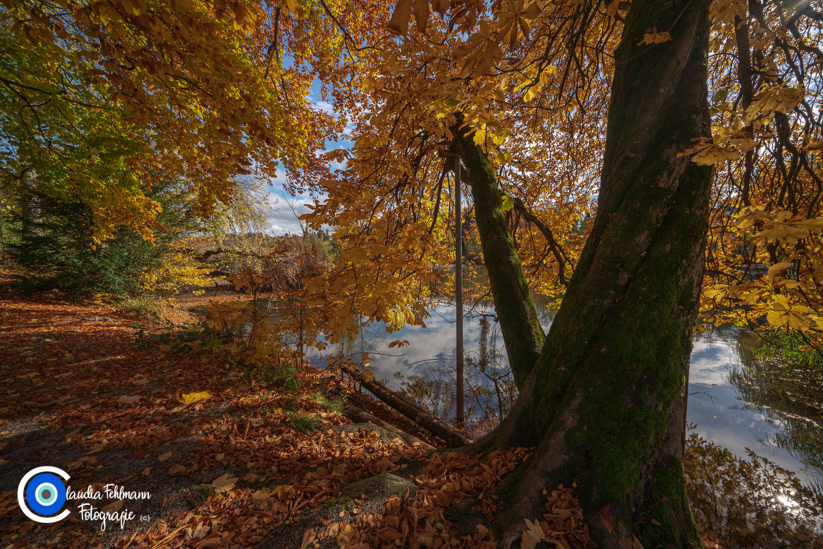 Herbst am See 