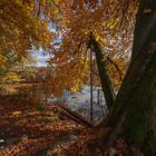 Herbst am See 