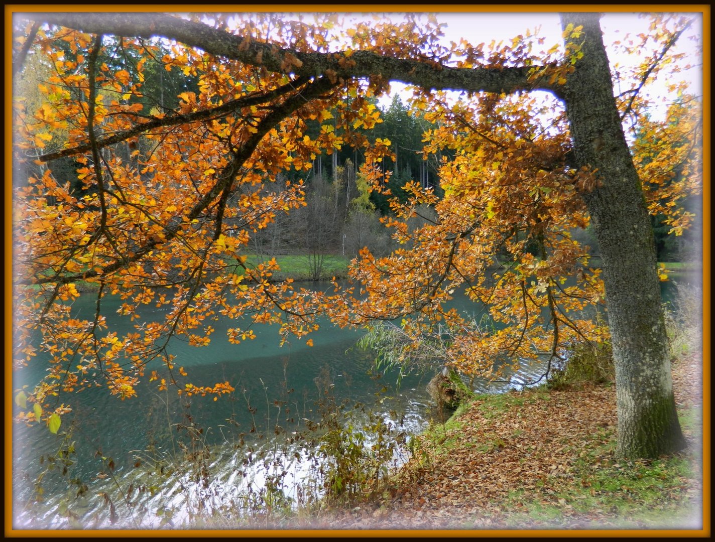 Herbst am See