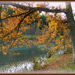 Herbst am See