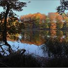 Herbst am See.