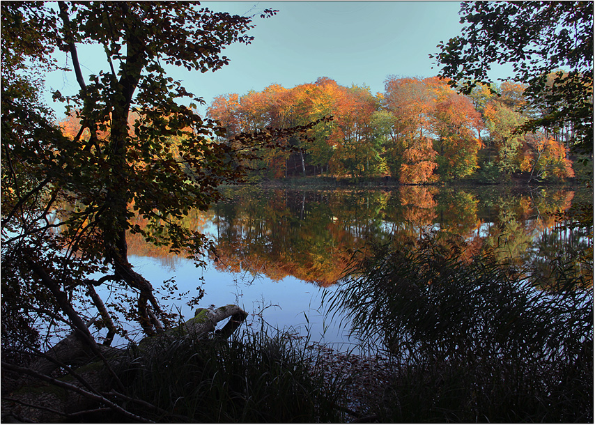 Herbst am See.