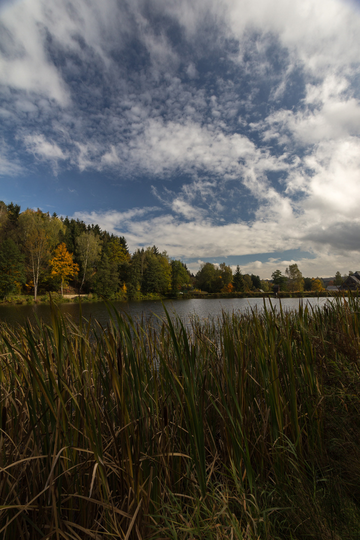 Herbst am See