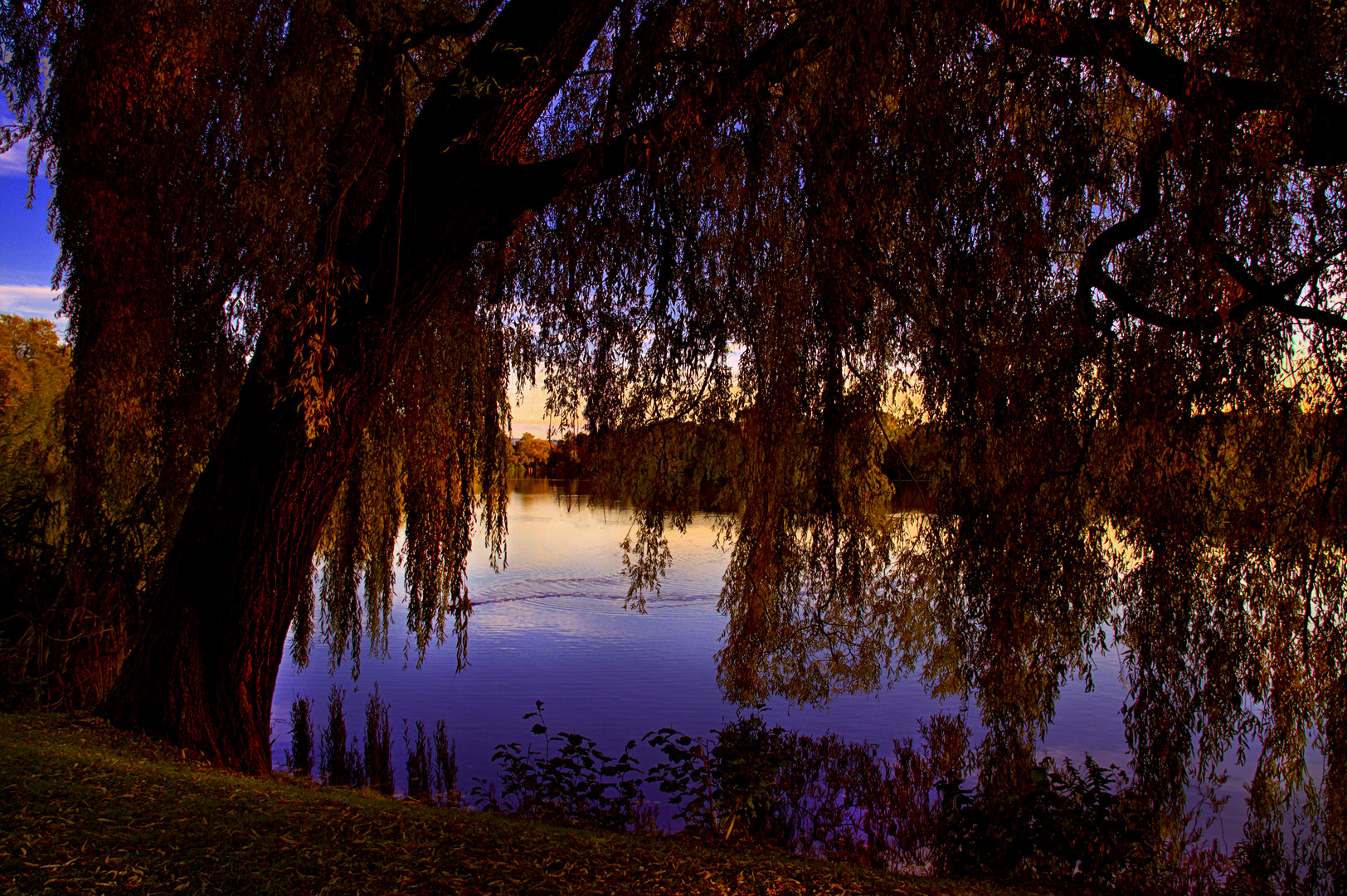 Herbst am See