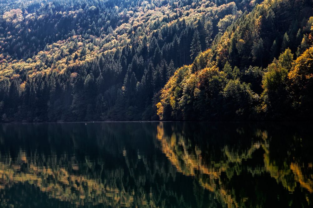 Herbst am See