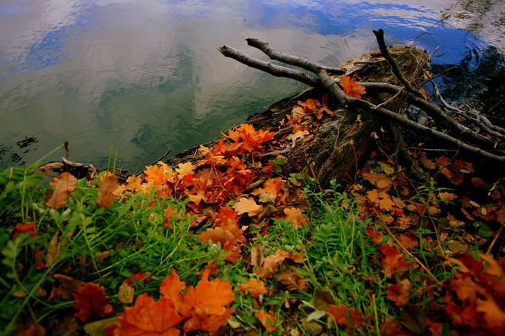 Herbst am See