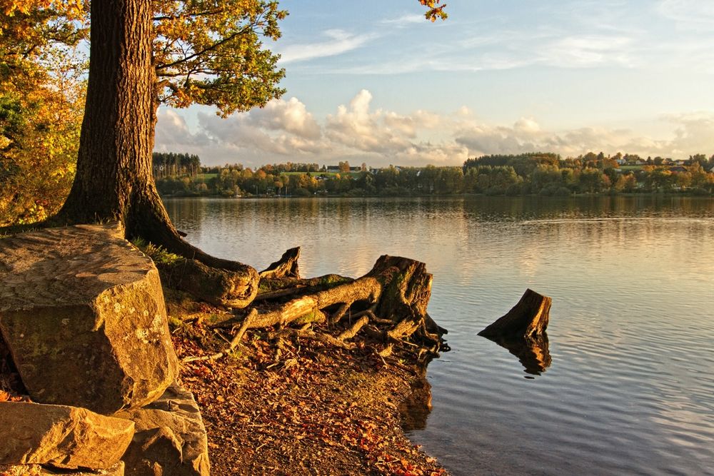 Herbst am See