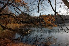 Herbst am See