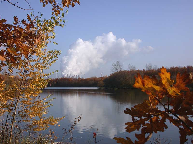 Herbst am See