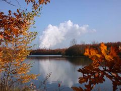 Herbst am See