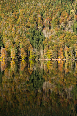 Herbst am See