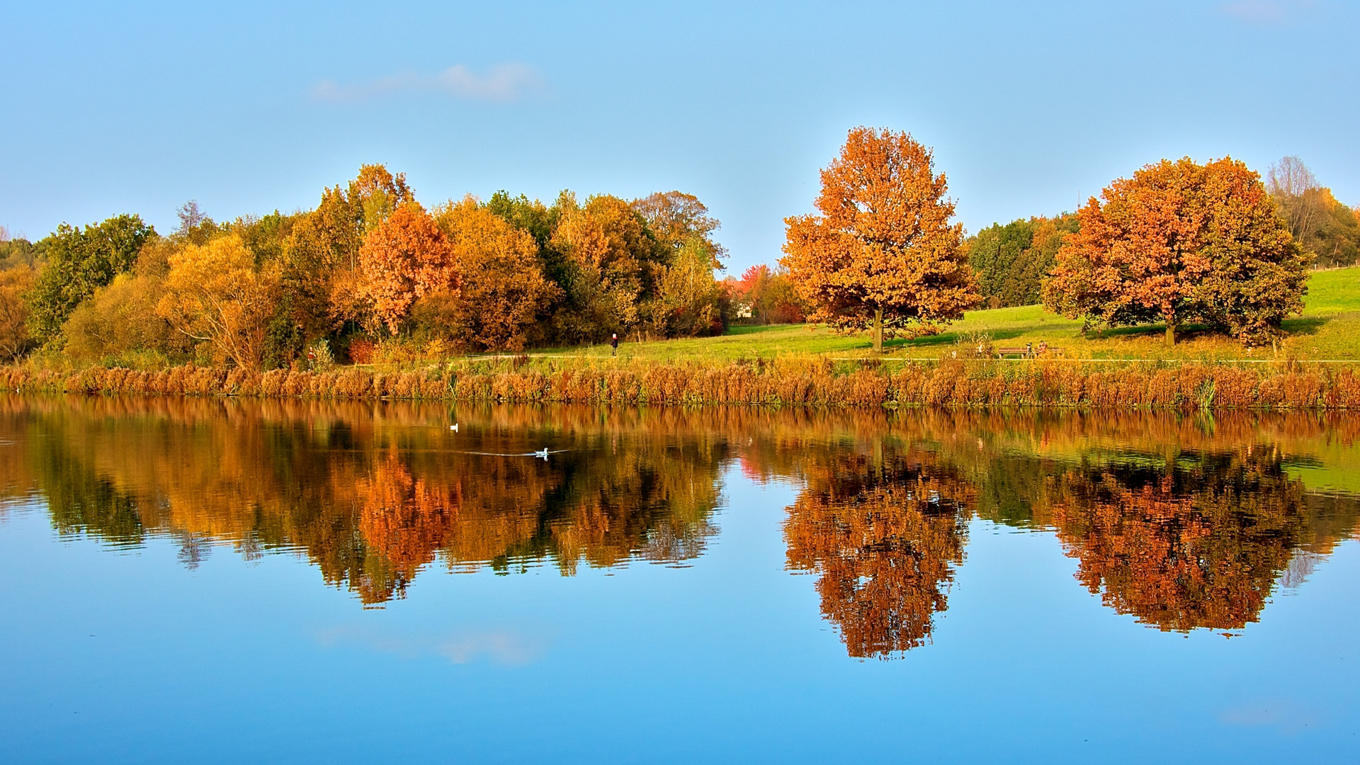 Herbst am See