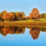 Herbst am See